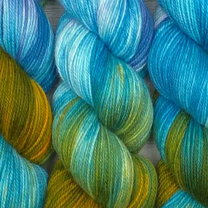 Barbury Sock - Turtle Dive NDLB