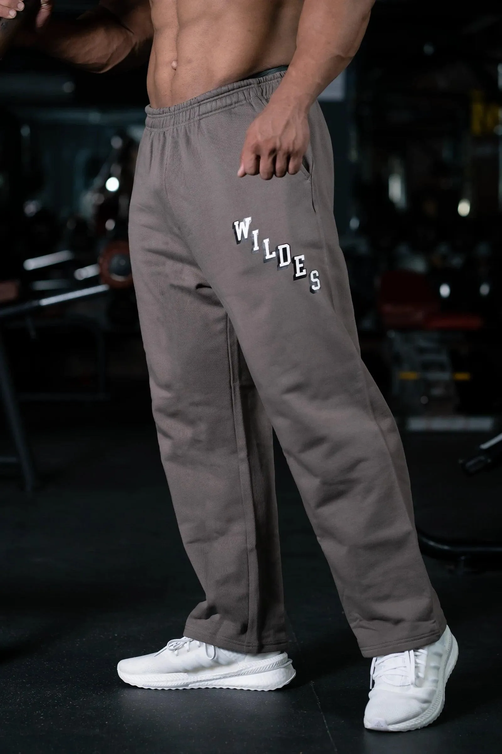 JOURNEY WILDES EVERYDAY ESSENTIAL SWEAT PANTS (EARTHY BROWN)