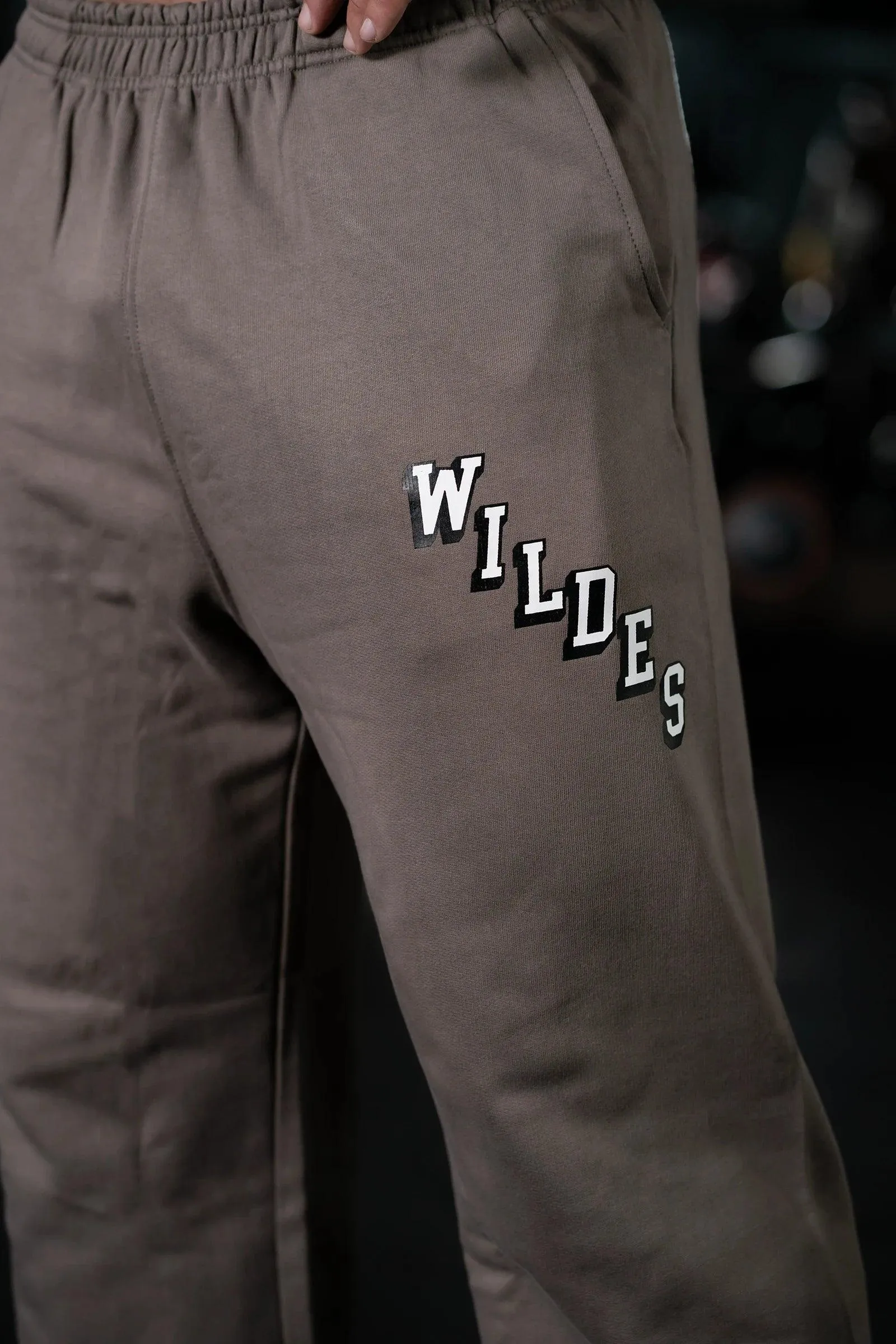 JOURNEY WILDES EVERYDAY ESSENTIAL SWEAT PANTS (EARTHY BROWN)