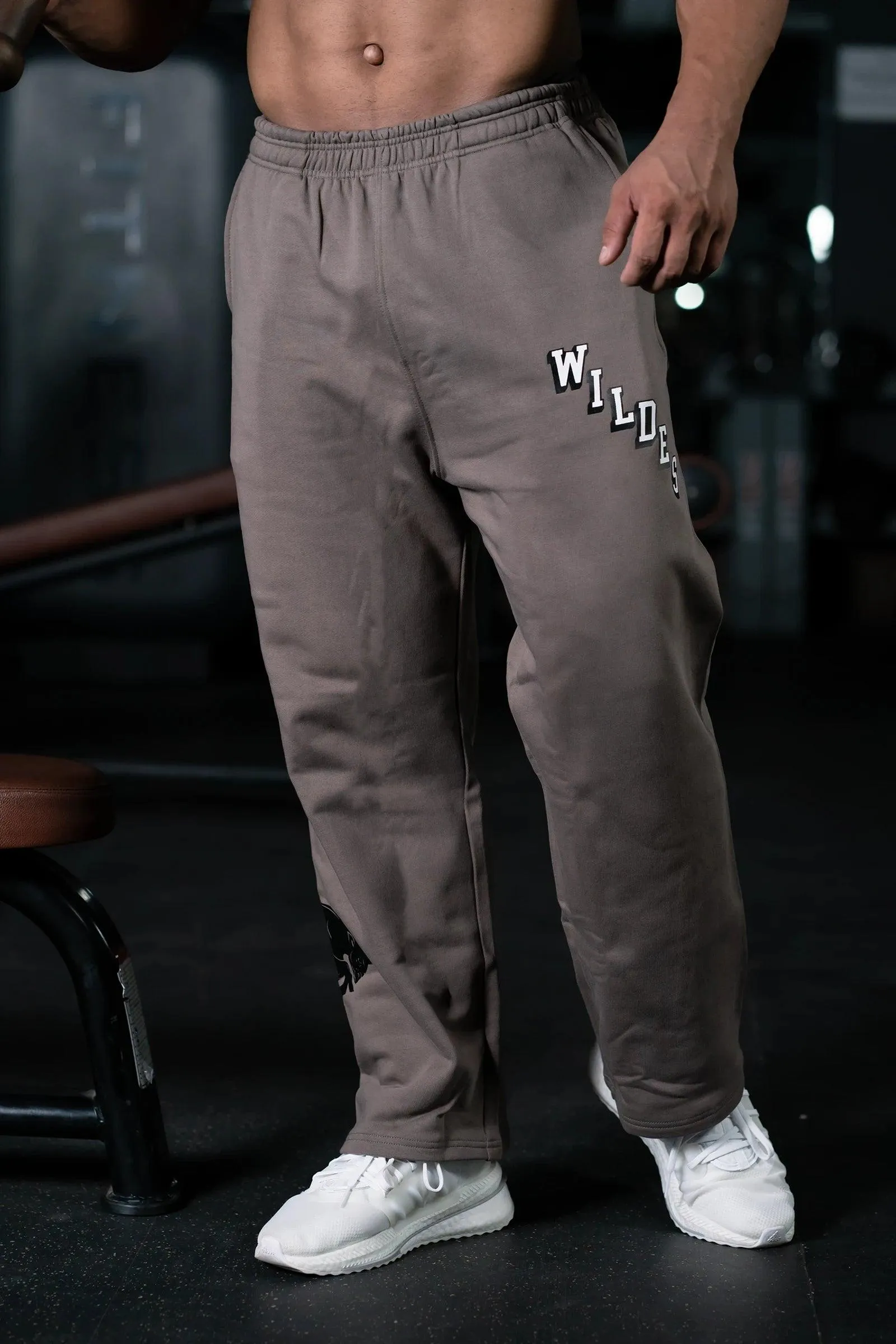 JOURNEY WILDES EVERYDAY ESSENTIAL SWEAT PANTS (EARTHY BROWN)